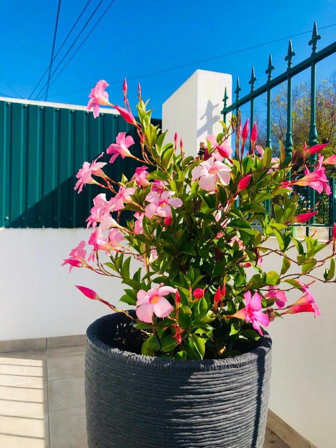 Casa Patio Country House Enxara do Bispo المظهر الخارجي الصورة