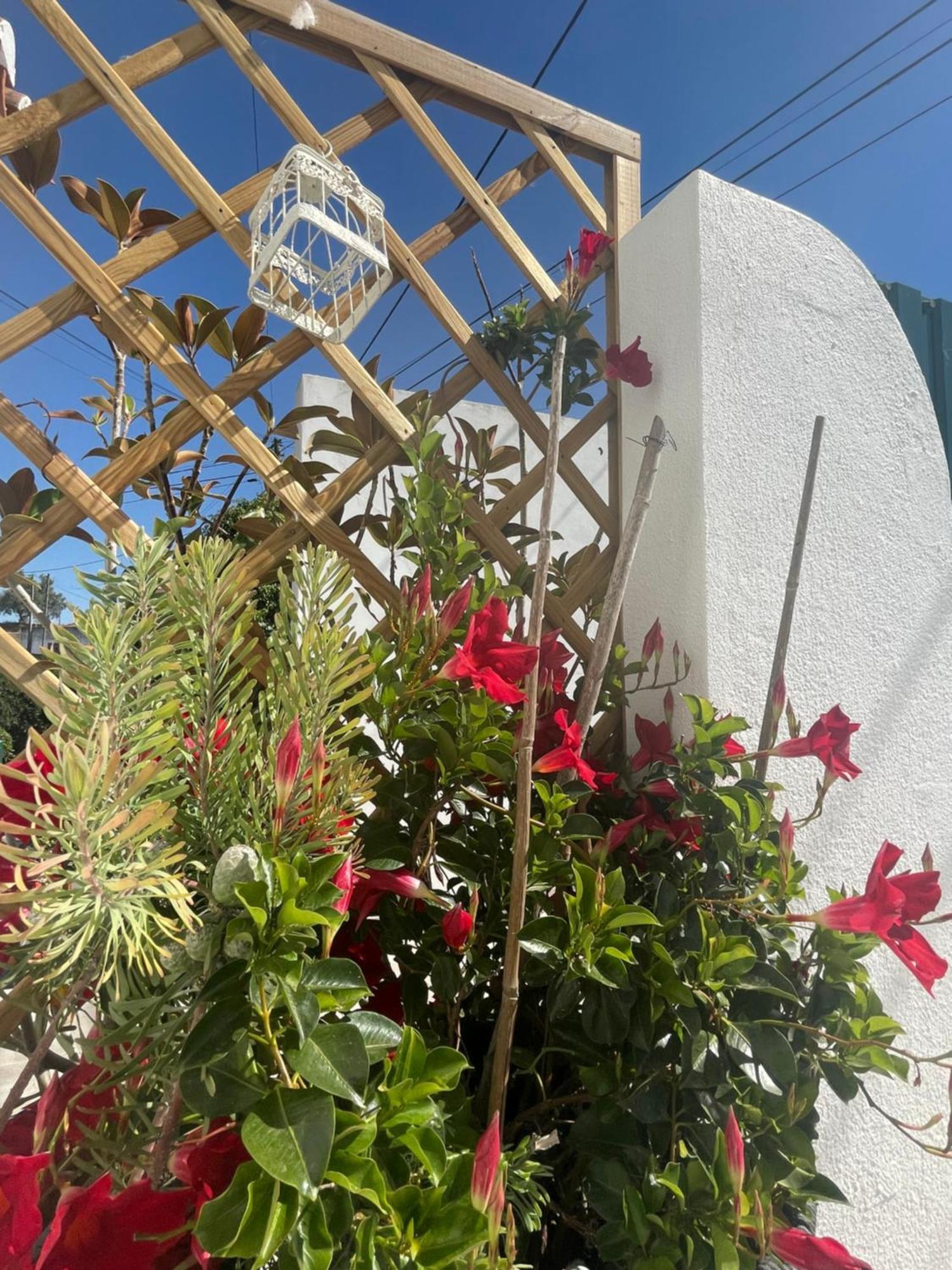 Casa Patio Country House Enxara do Bispo المظهر الخارجي الصورة
